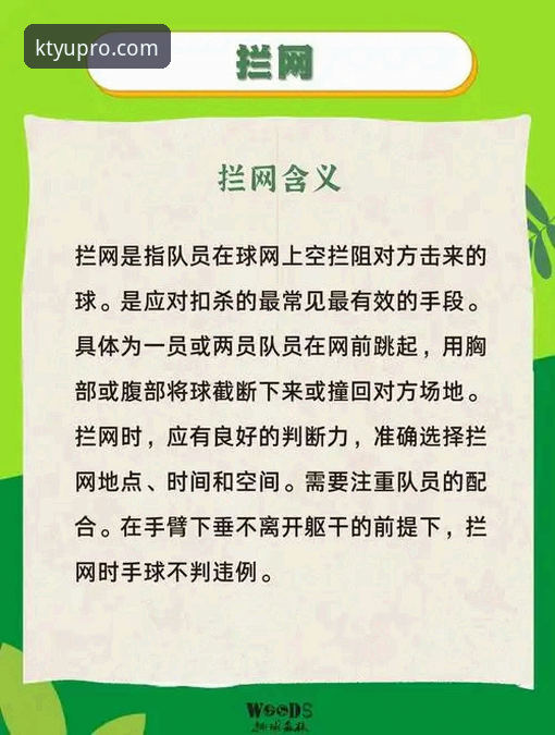 K体育平台安全性与实用性详解
