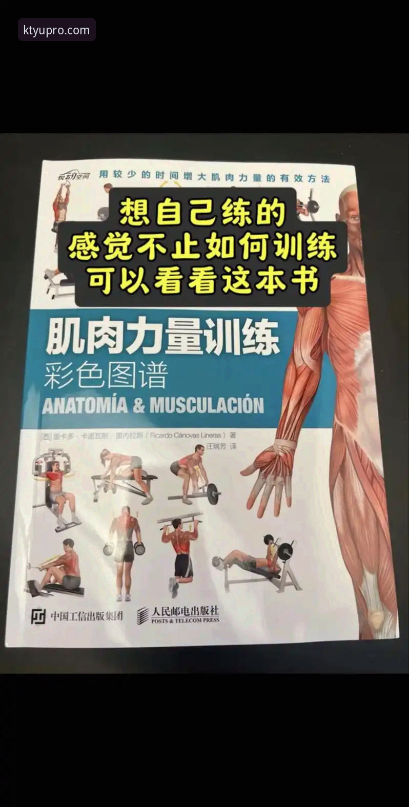 k体育多元化内容 K体育平台多元化内容实用指南:从入门到精通的关键技巧
